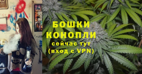 PSILOCYBIN Балахна