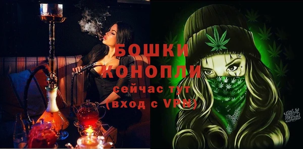 PSILOCYBIN Балахна