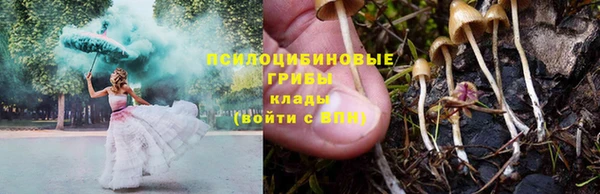 PSILOCYBIN Балахна