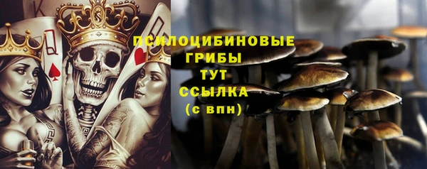 спиды Балабаново